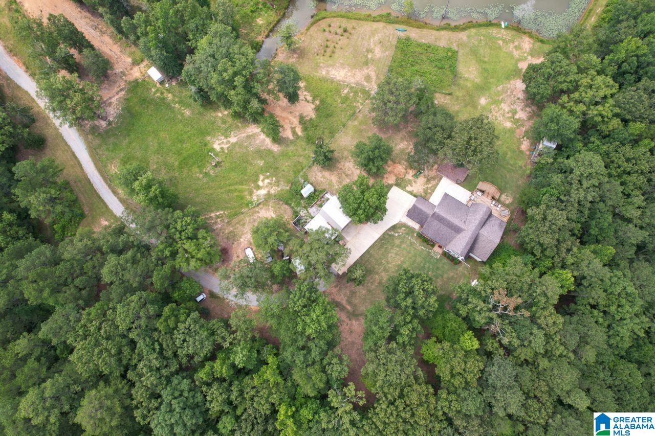 131 Lake Cottage Road Sterrett, AL 35147 - Photo 60 of 64