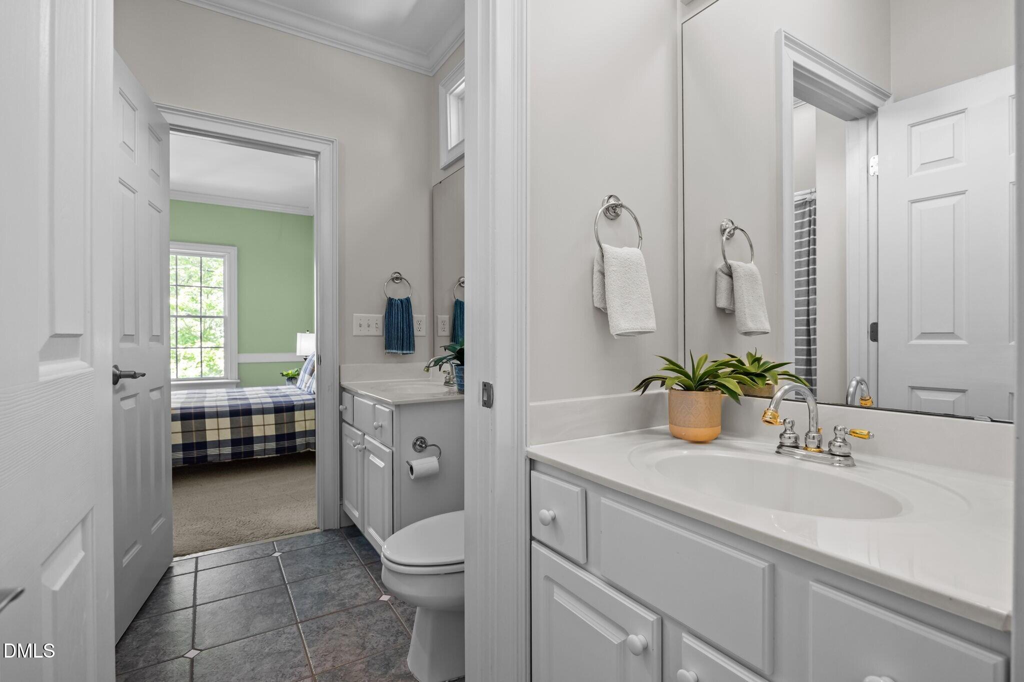 3901 Orchard Point Court Apex, NC 27539 - Photo 36 of 53 a bathroom with a sink a toilet and a mirror