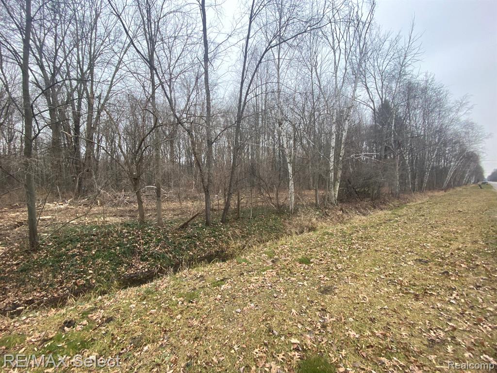 13850 Budd Road Burt, MI 48417 - Photo 4 of 4
