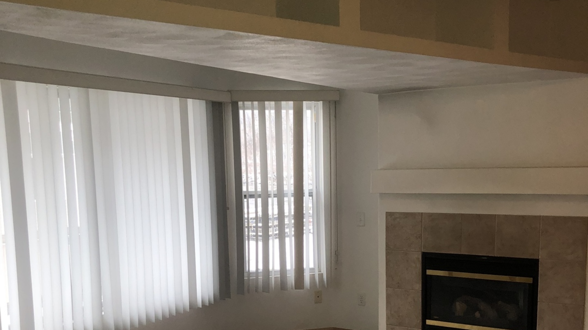 6032 Park Ridge Road, Unit 6032 Loves Park, IL 61111 - Photo 3 of 13 a hallway with a fireplace and a window