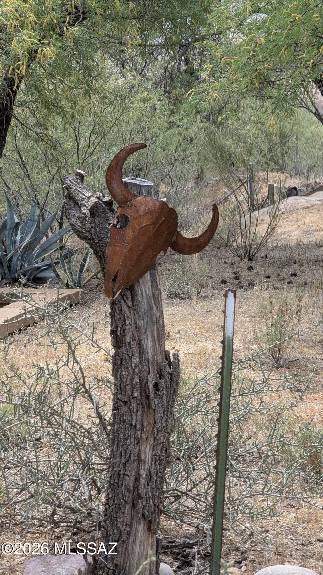 4001 East Rollins Road Tucson, AZ 85739 - Photo 42 of 48