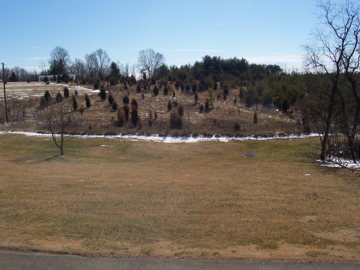 4217 Falling Creek Road Bedford, VA 24523 - Photo 11 of 15 Back Yard Partial