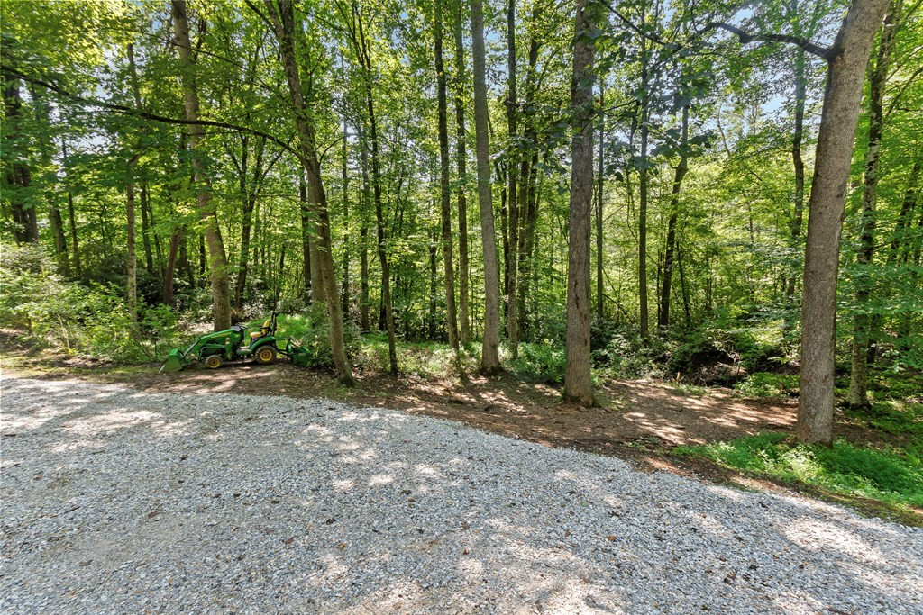 123 Quarry Road Andrews, NC 28901 - Photo 43 of 55