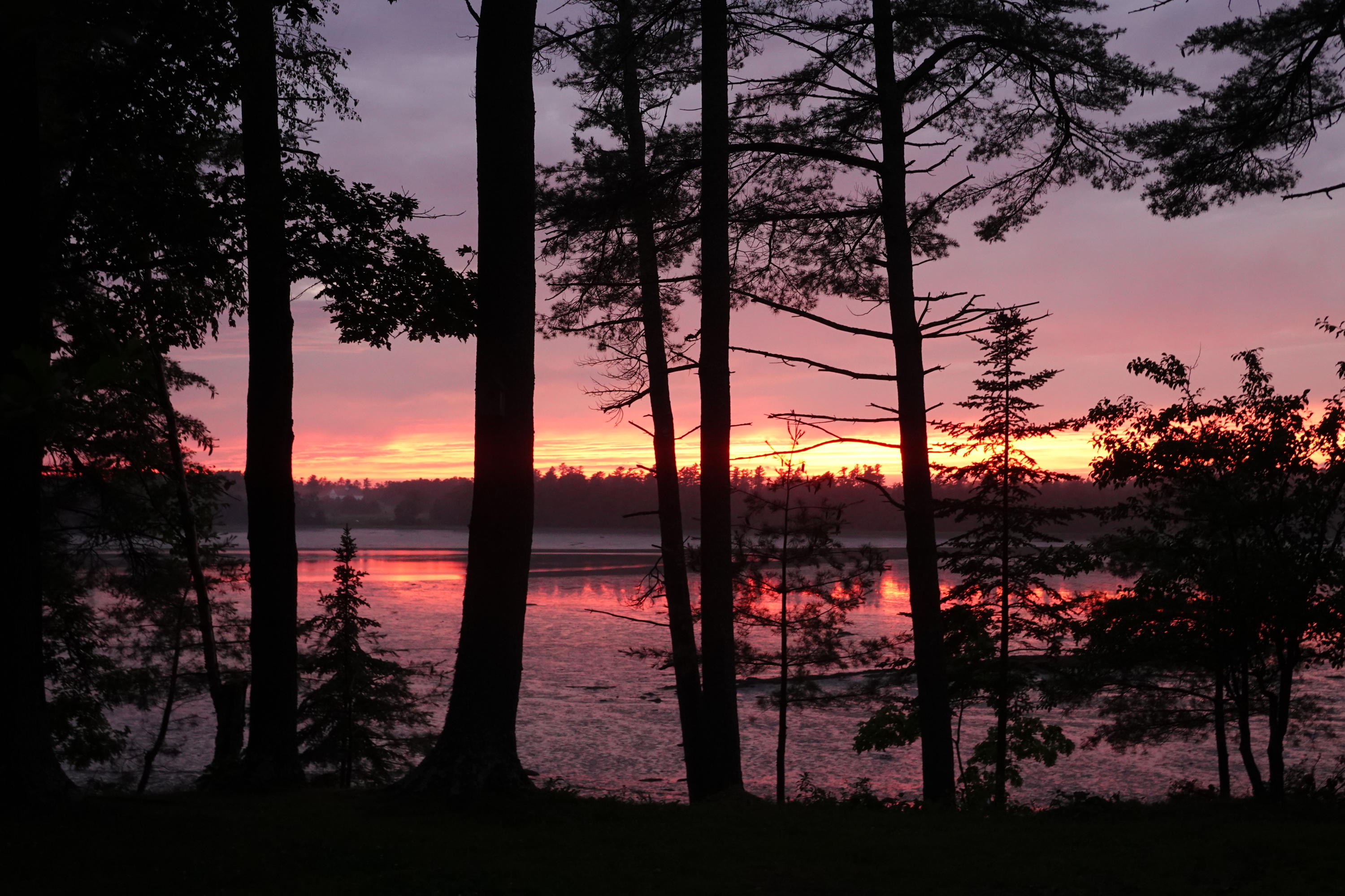 314 Princes Point Road Brunswick, ME 04011 - Photo 8 of 37 tree sunset