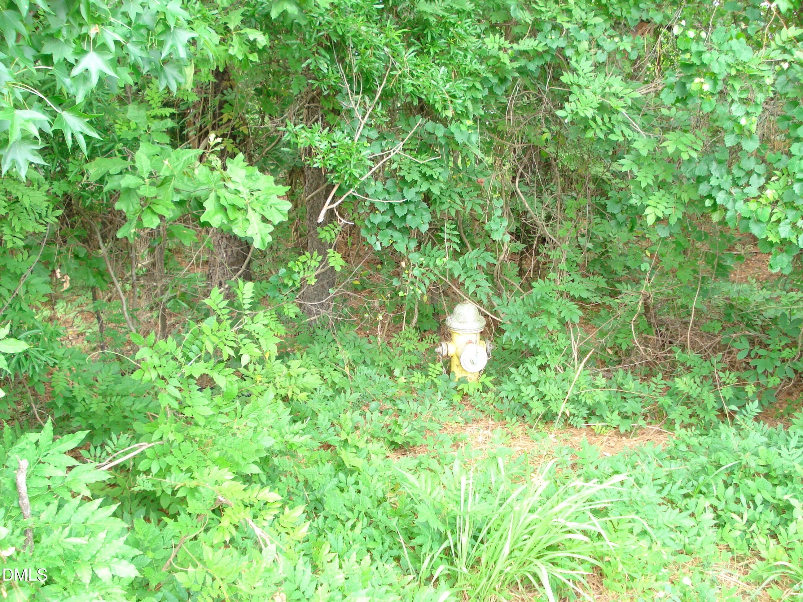 7625 Fayetteville Road Raleigh, NC 27603 - Photo 19 of 26