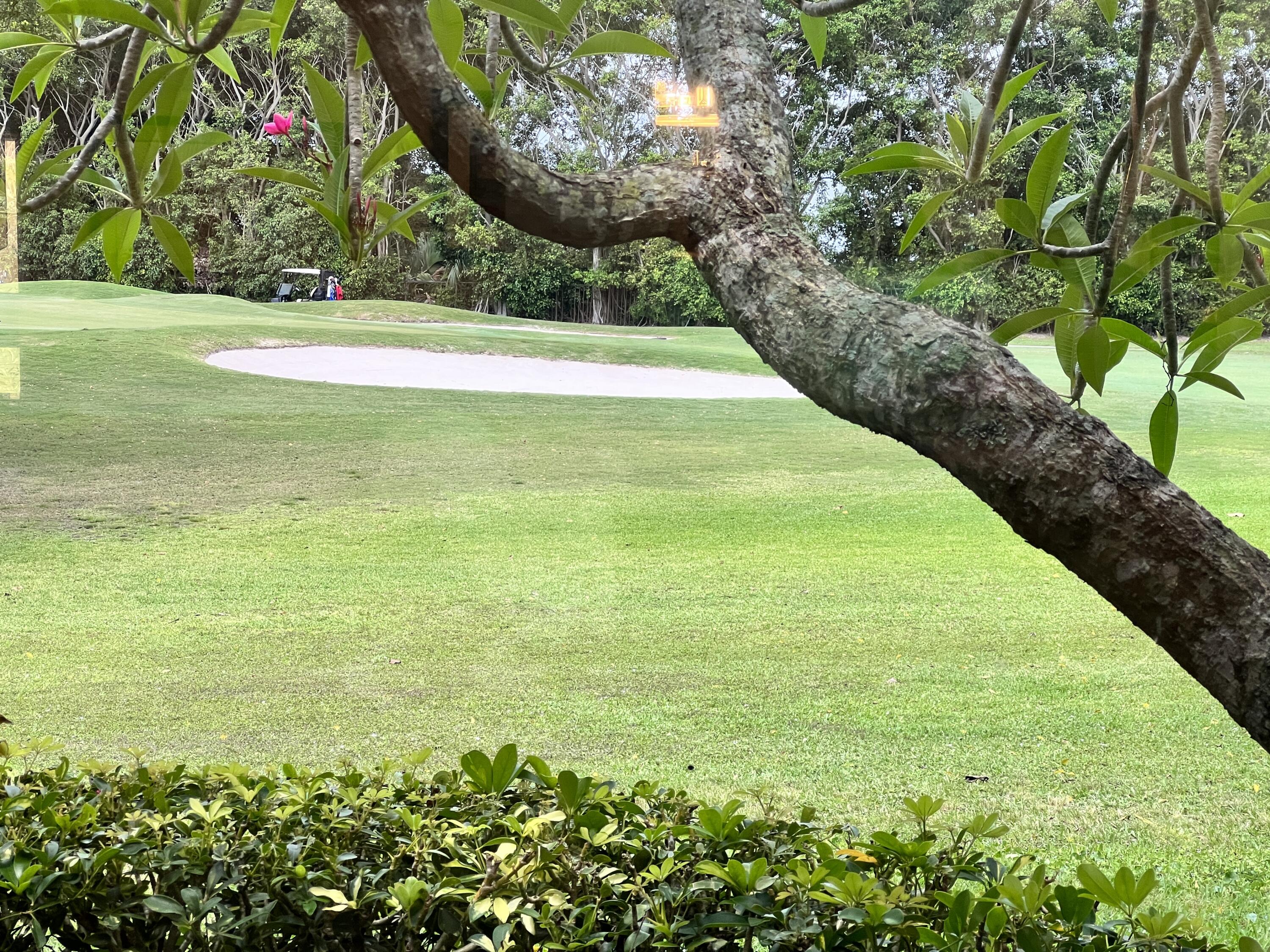 17372 Boca Club Boulevard, Unit 404 Boca Raton, FL 33487 - Photo 41 of 41 IMG_3740
