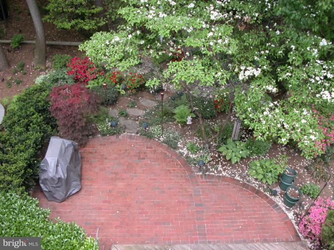 2005 Turtle Pond Drive Reston, VA 20191 - Photo 27 of 28 Exterior (Rear)