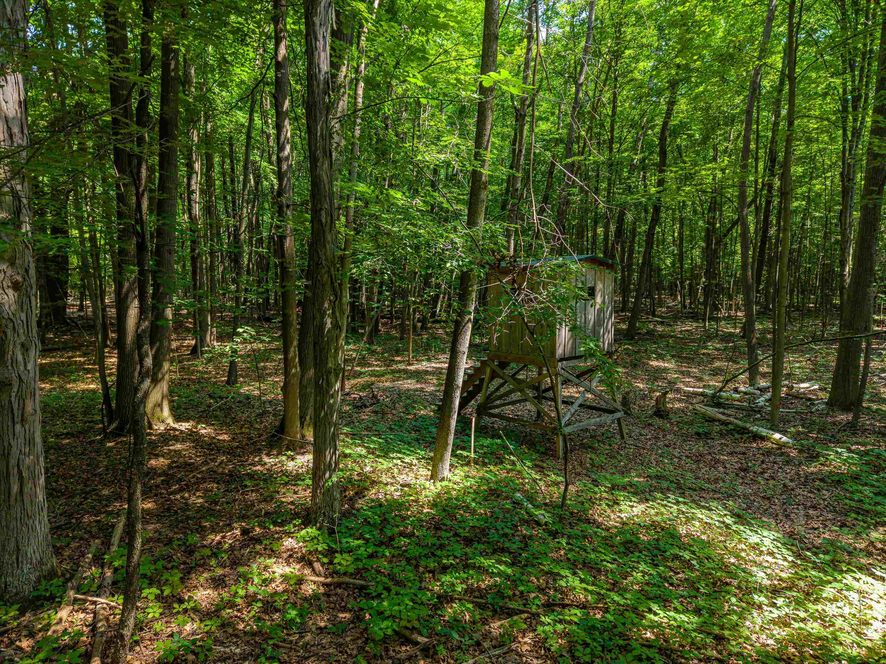 5818 West Baker Road Coleman, MI 48618 - Photo 83 of 86