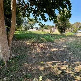 a view of a yard with a tree