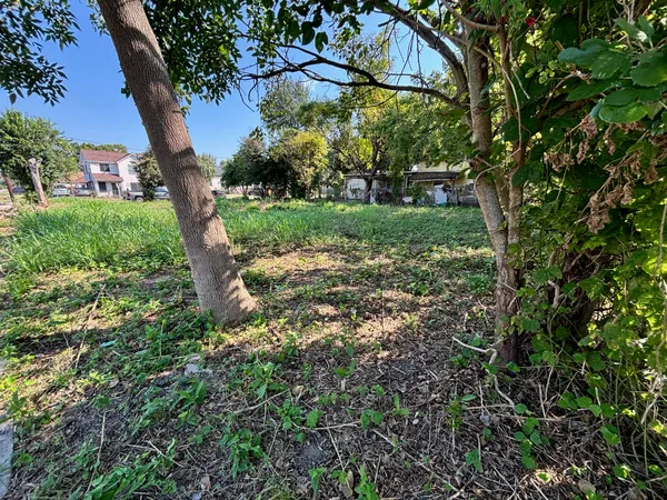 a view of a tree in front of a house