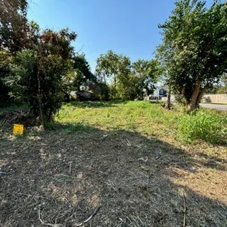 a view of a yard with a tree