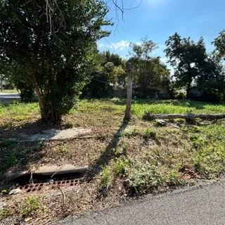a view of a yard with a tree