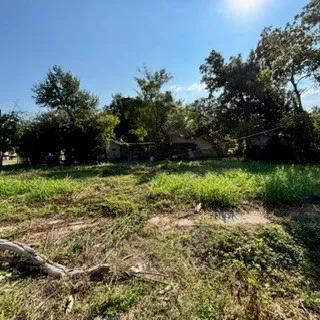 a view of a garden with a tree