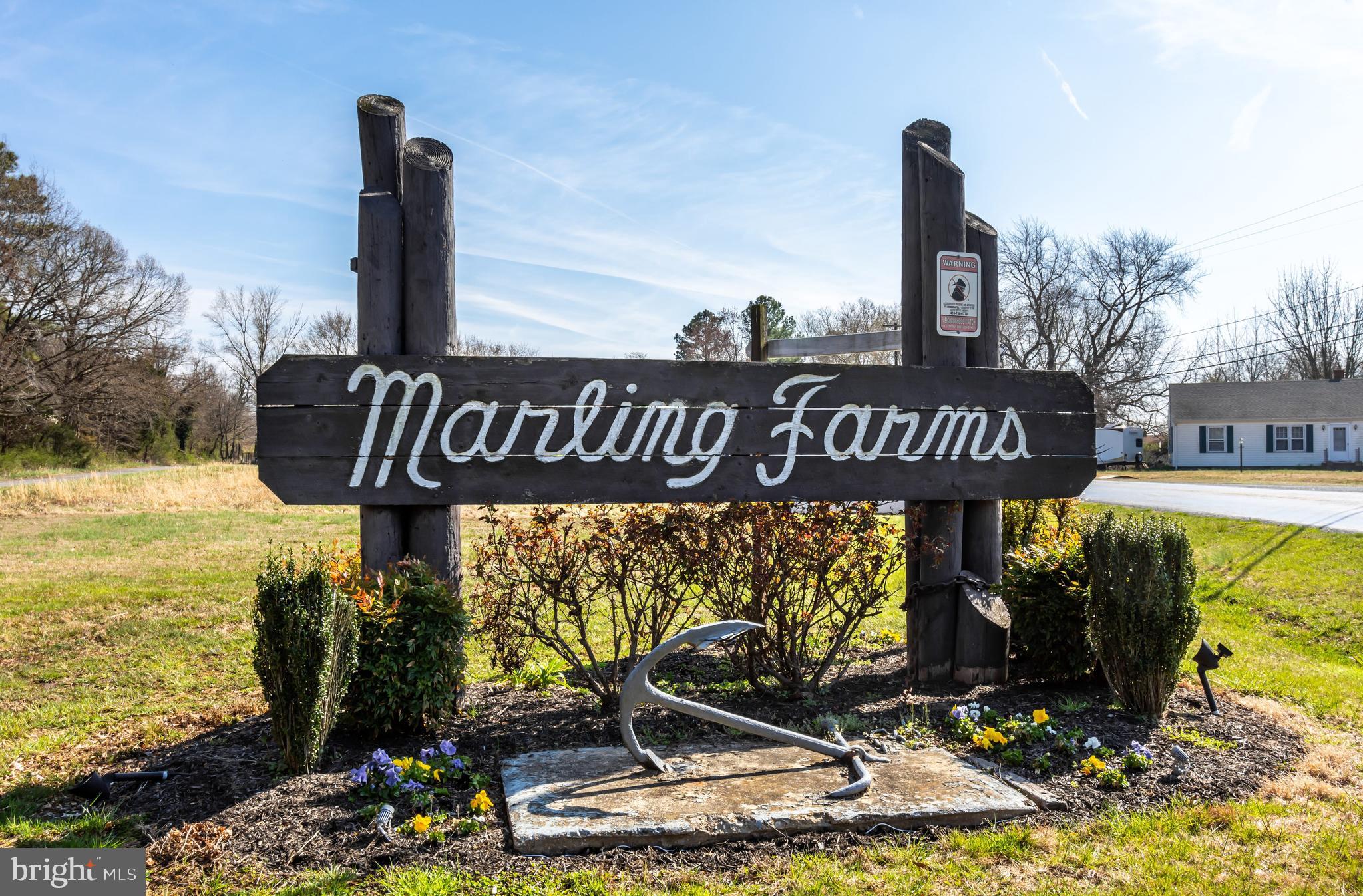 1700 St Marys Road Chester, MD 21619 - Photo 31 of 41 Community