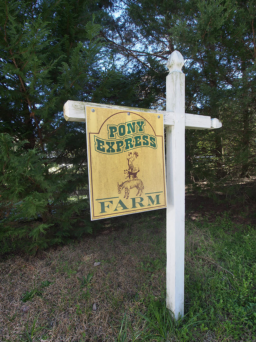 176 Quewhiffle Road Aberdeen, NC 28315 - Photo 2 of 45 entry1