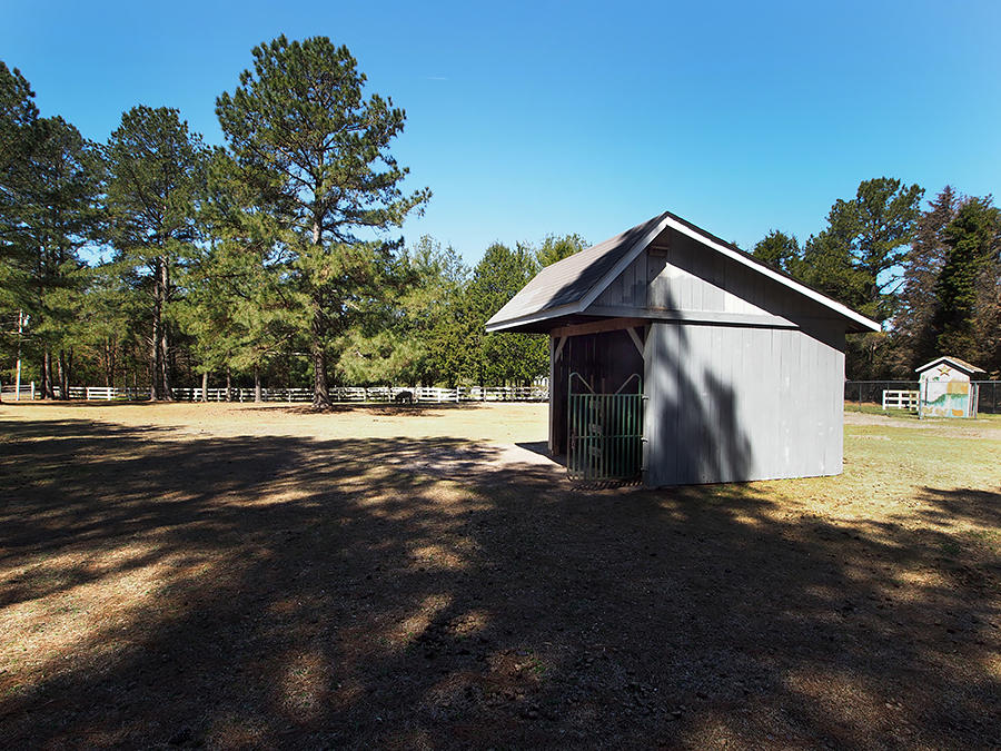 176 Quewhiffle Road Aberdeen, NC 28315 - Photo 37 of 45 pasture2
