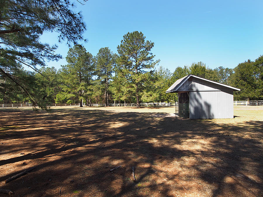 176 Quewhiffle Road Aberdeen, NC 28315 - Photo 38 of 45 pasture3