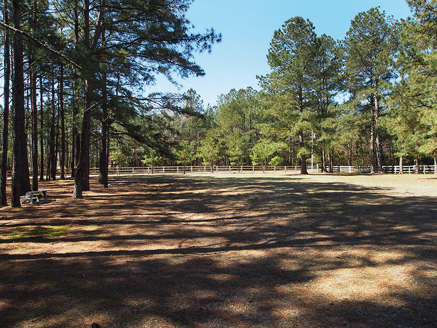 176 Quewhiffle Road Aberdeen, NC 28315 - Photo 40 of 45 pasture4