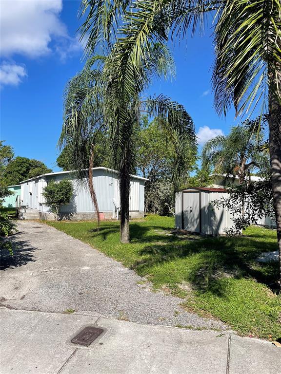 a view of a yard with plants and trees