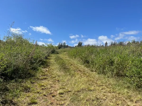 $1,950,000 | 45-5060 Nānaina Kai Road, Honokaa, HI 96727