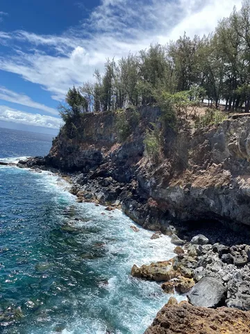 $1,950,000 | 45-5060 Nānaina Kai Road, Honokaa, HI 96727