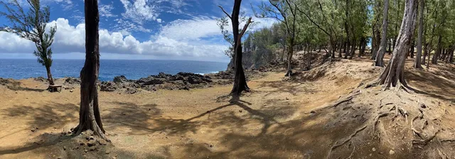 $1,950,000 | 45-5060 Nānaina Kai Road, Honokaa, HI 96727