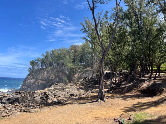 $1,950,000 | 45-5060 Nānaina Kai Road, Honokaa, HI 96727