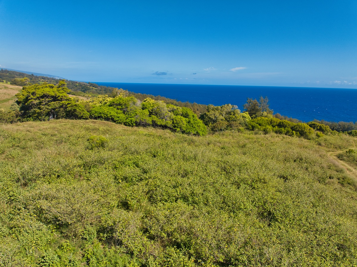 45-5060 Nānaina Kai Road Honokaa, HI 96727 - Photo 18 of 29