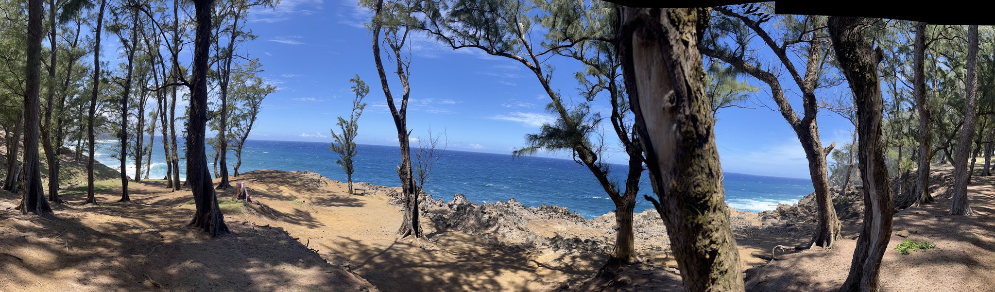 45-5060 Nānaina Kai Road Honokaa, HI 96727 - Photo 5 of 29