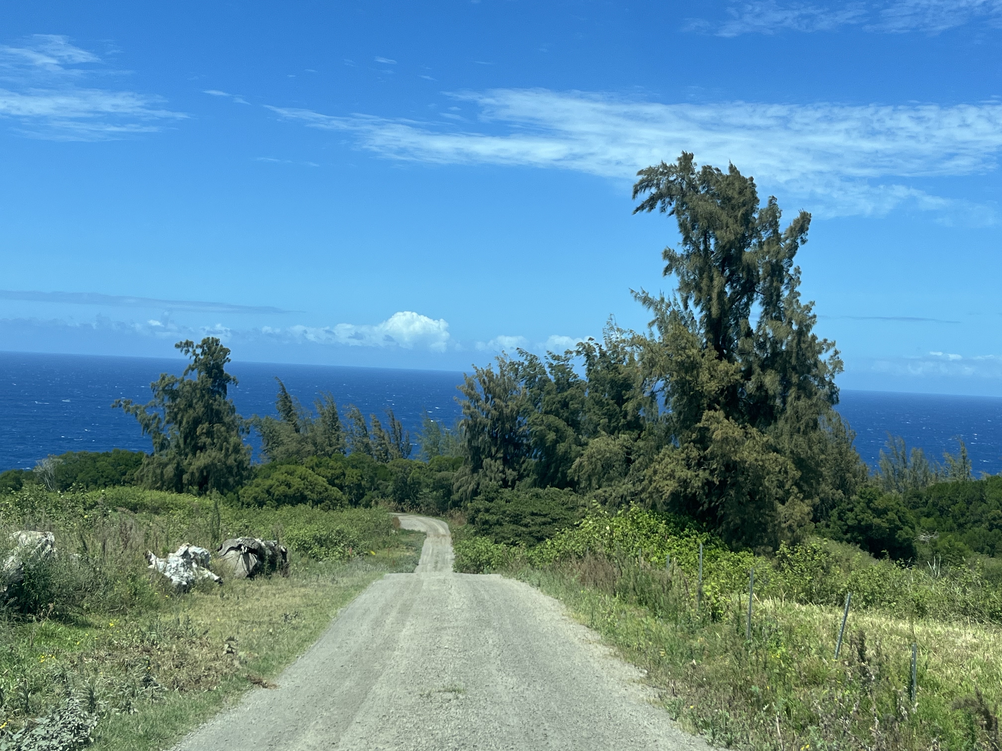 45-5060 Nānaina Kai Road Honokaa, HI 96727 - Photo 6 of 29
