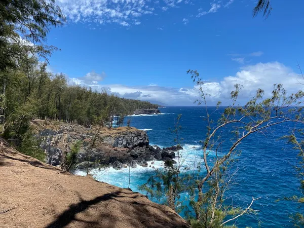 $1,950,000 | 45-5060 Nānaina Kai Road, Honokaa, HI 96727