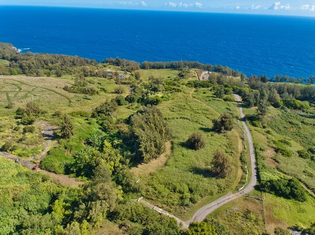 an aerial view of residential houses with outdoor space and trees