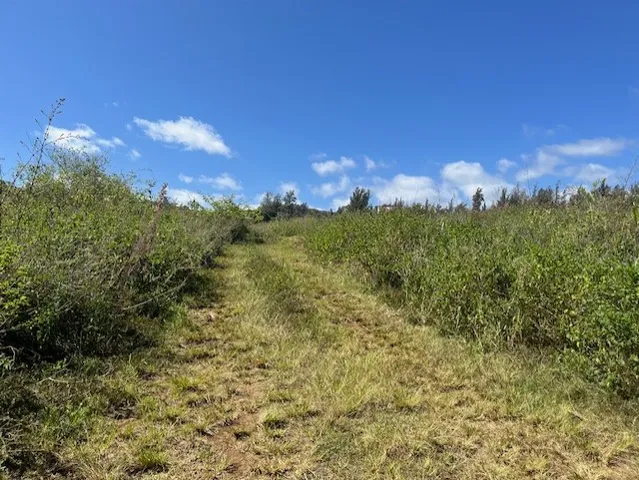 a view of lake view and mountain