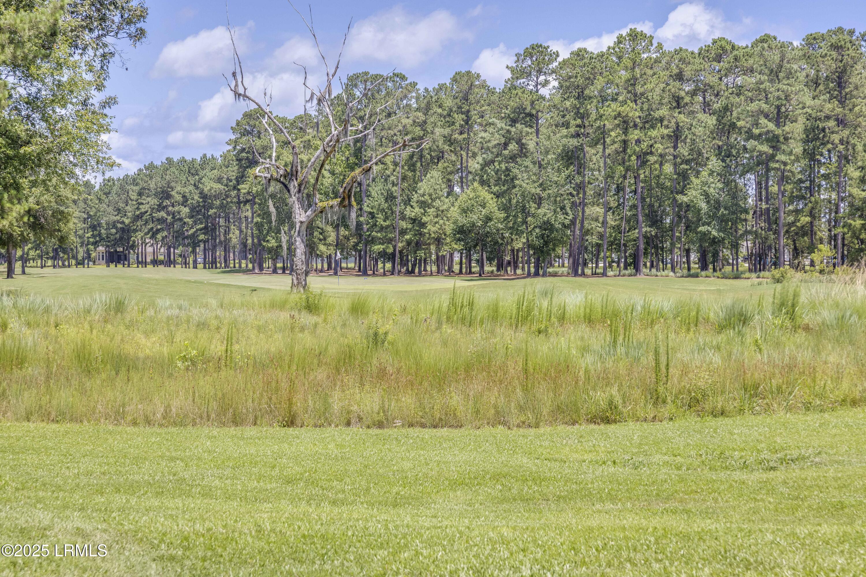 300 Persimmon Circle Hardeeville, SC 29927 - Photo 38 of 60 300 Persimmon Cir (51 of 65)