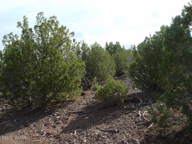 Lot 22 Ortega Mountain Road Concho, AZ 85924 - Photo 2 of 4
