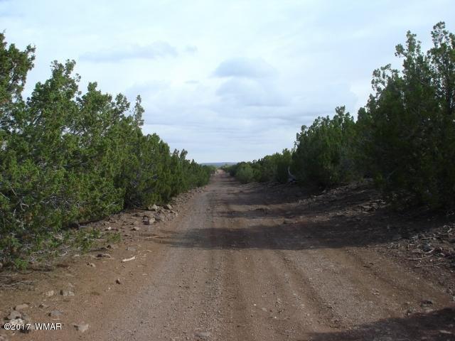 Lot 22 Ortega Mountain Road Concho, AZ 85924 - Photo 3 of 4