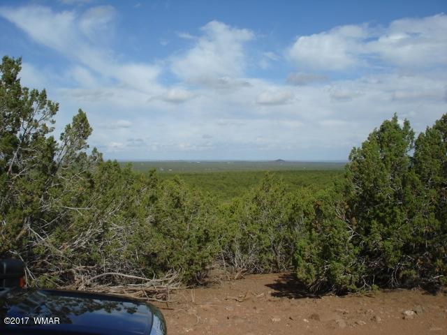 Lot 22 Ortega Mountain Road Concho, AZ 85924 - Photo 4 of 4