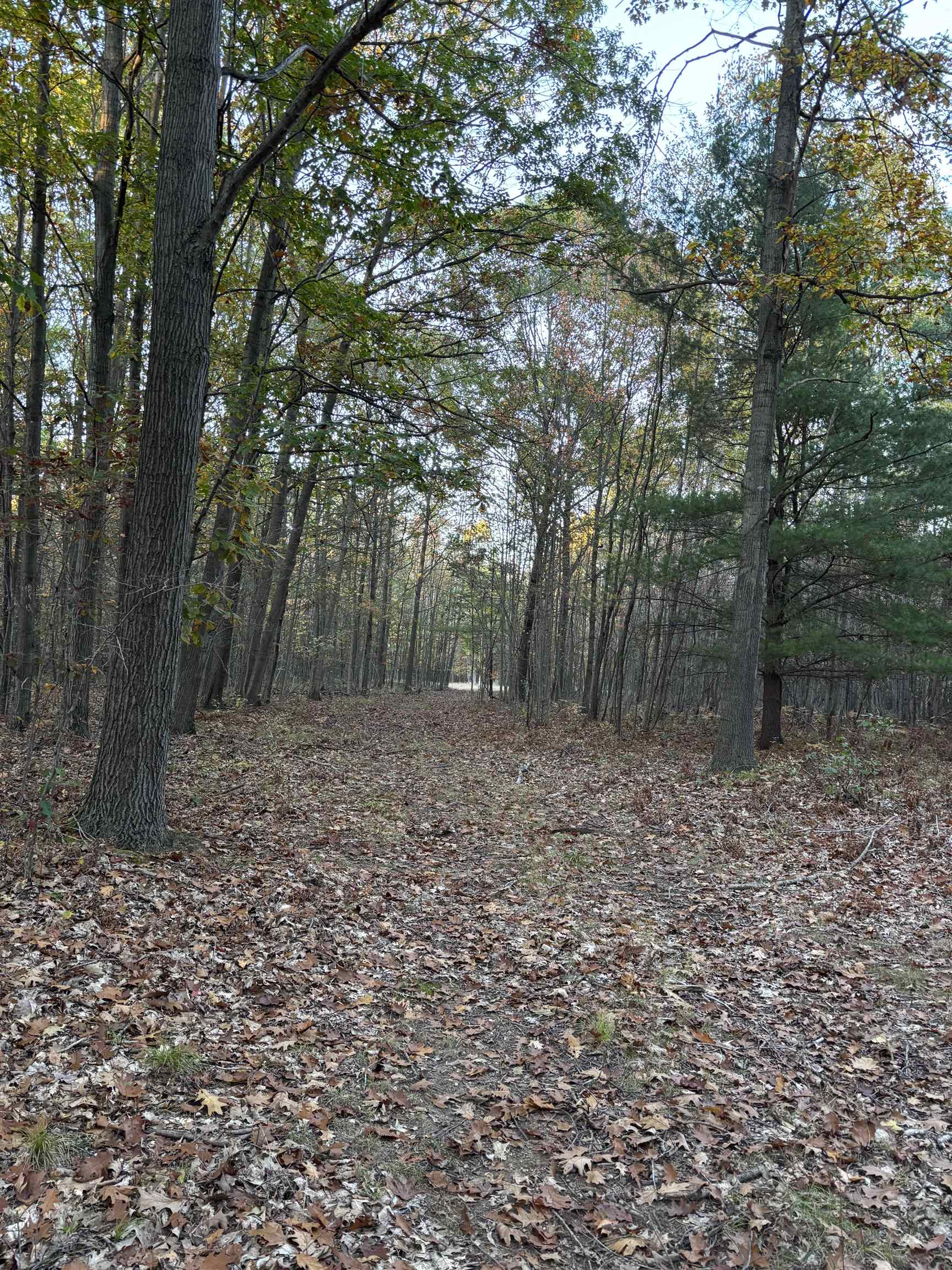 10000 East Pickard Road Mount Pleasant, MI 48858 - Photo 16 of 18