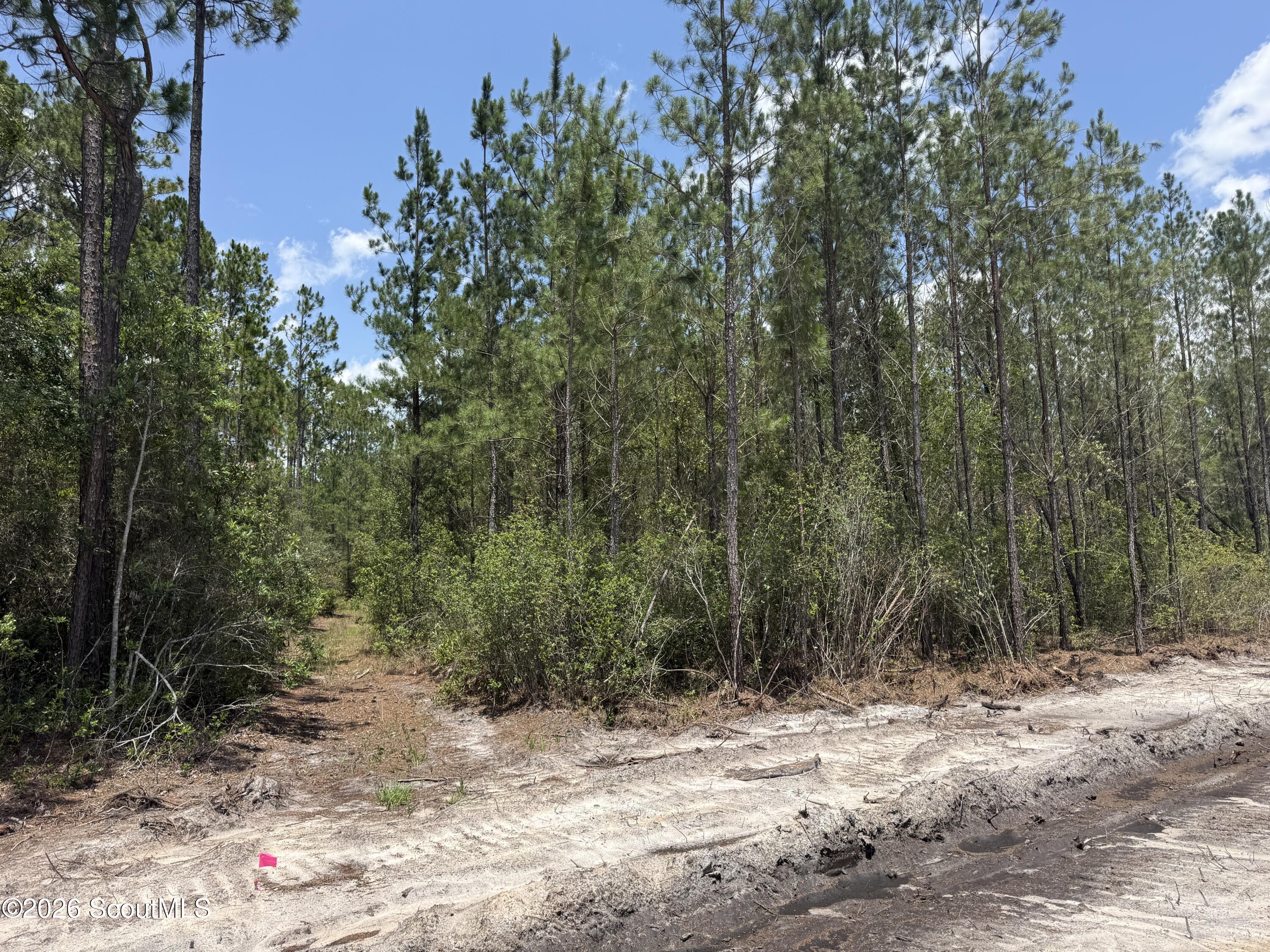 Lot 8 Corbitt Road, Unit LOT 8 Manor, GA 31550 - Photo 2 of 10 IMG_8028
