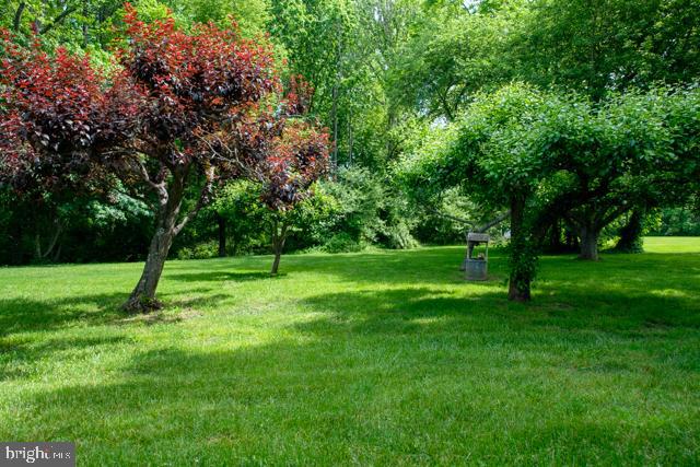 31 Bordentown Chesterfield Road Chesterfield, NJ 08515 - Photo 49 of 55 a view of a park with a tree