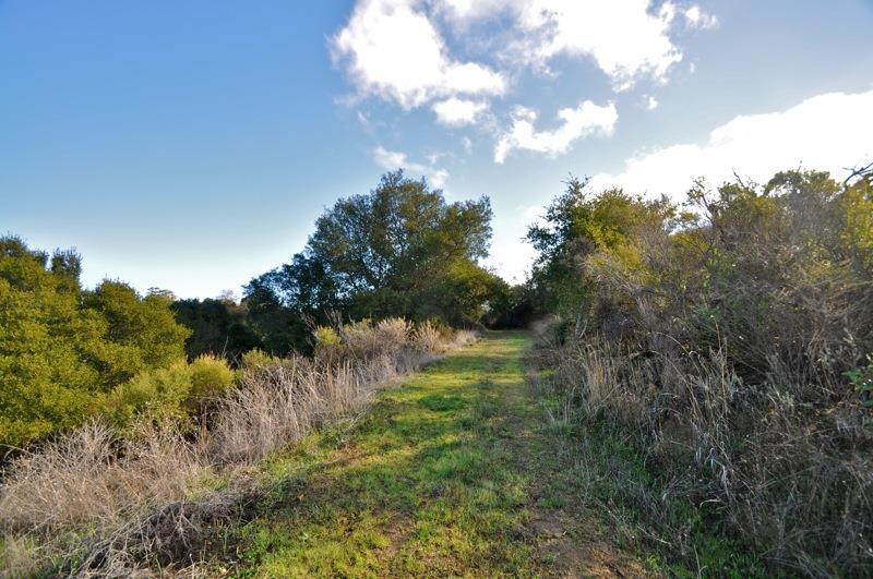 0 Mt Eden Road Saratoga, CA 95070 - Photo 3 of 27