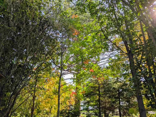 $55,000 | 1607 6th Street East, Ashland, WI 54806