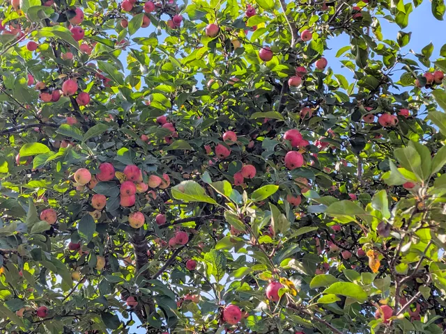 $55,000 | 1607 6th Street East, Ashland, WI 54806