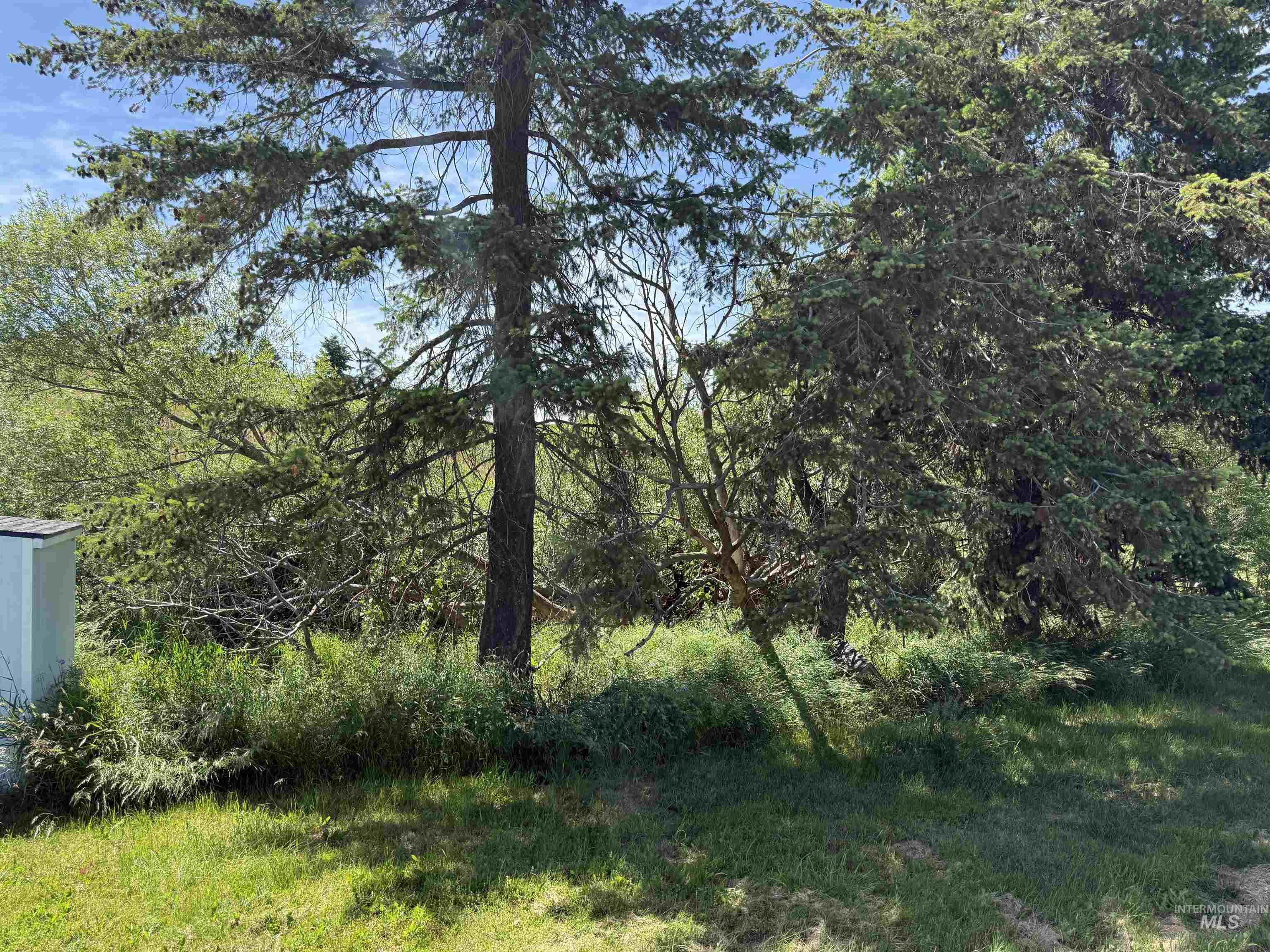4325 Lenville Road, Unit 10 10 Moscow, ID 83843 - Photo 19 of 20