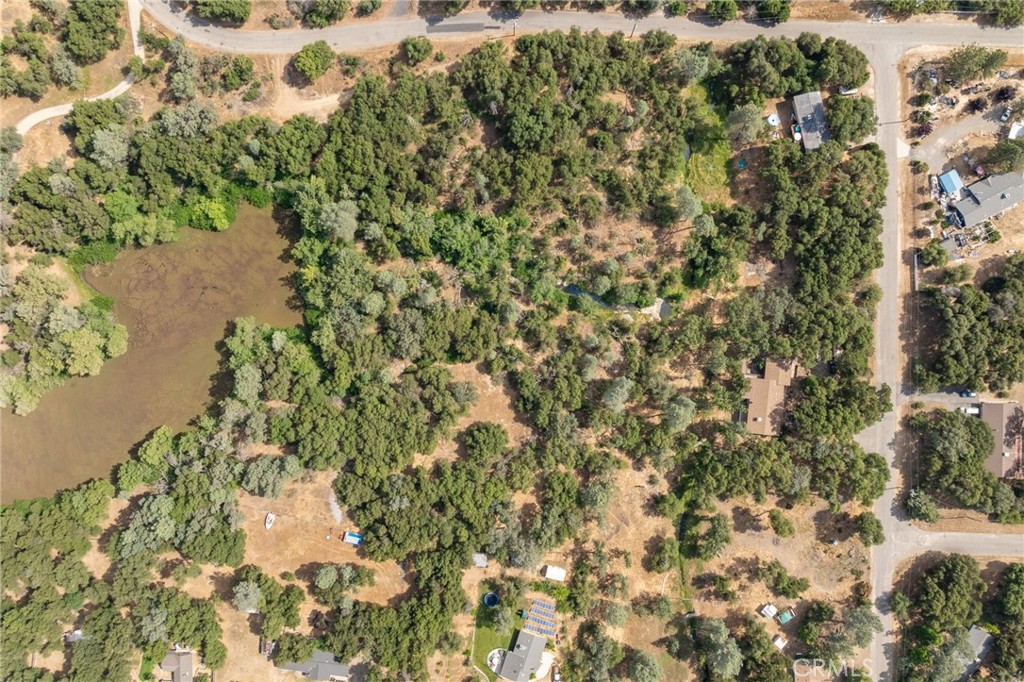 32413 Chickasaw Road Coarsegold, CA 93614 - Photo 43 of 67