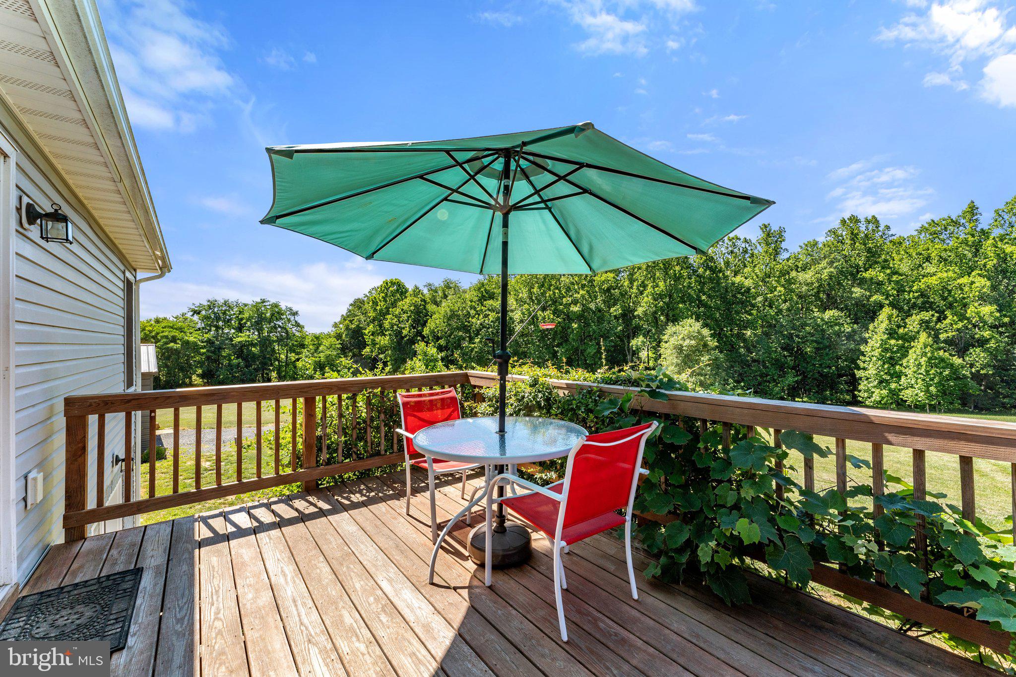 9198 White Shop Road Culpeper, VA 22701 - Photo 49 of 63 Gallery Image 49