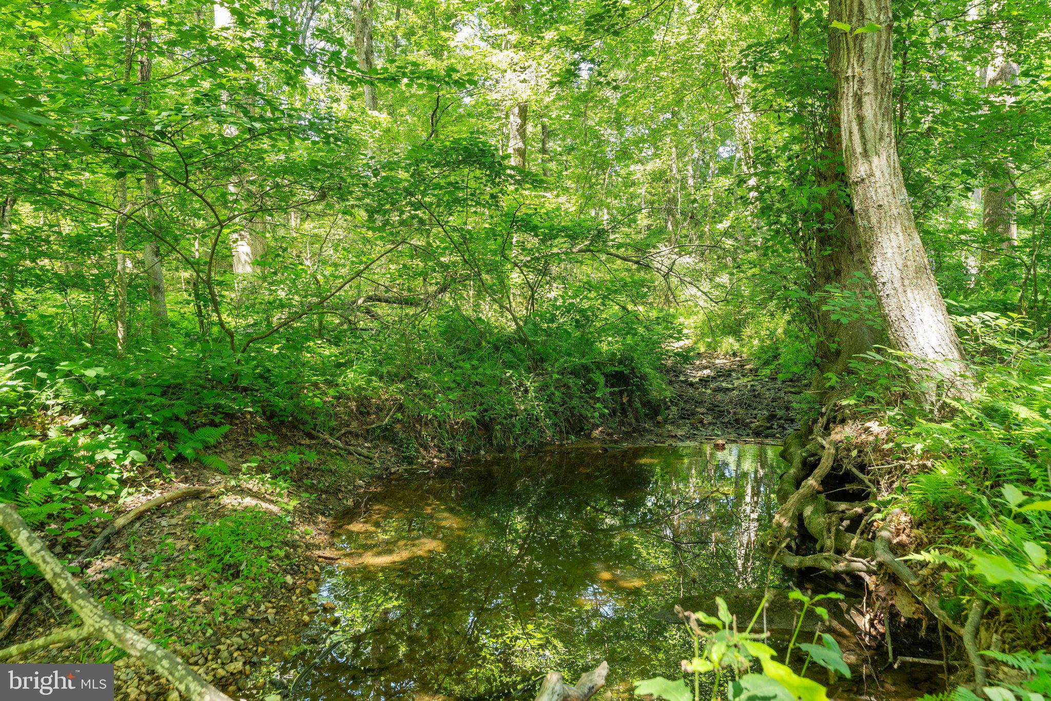 9198 White Shop Road Culpeper, VA 22701 - Photo 62 of 63 Gallery Image 62