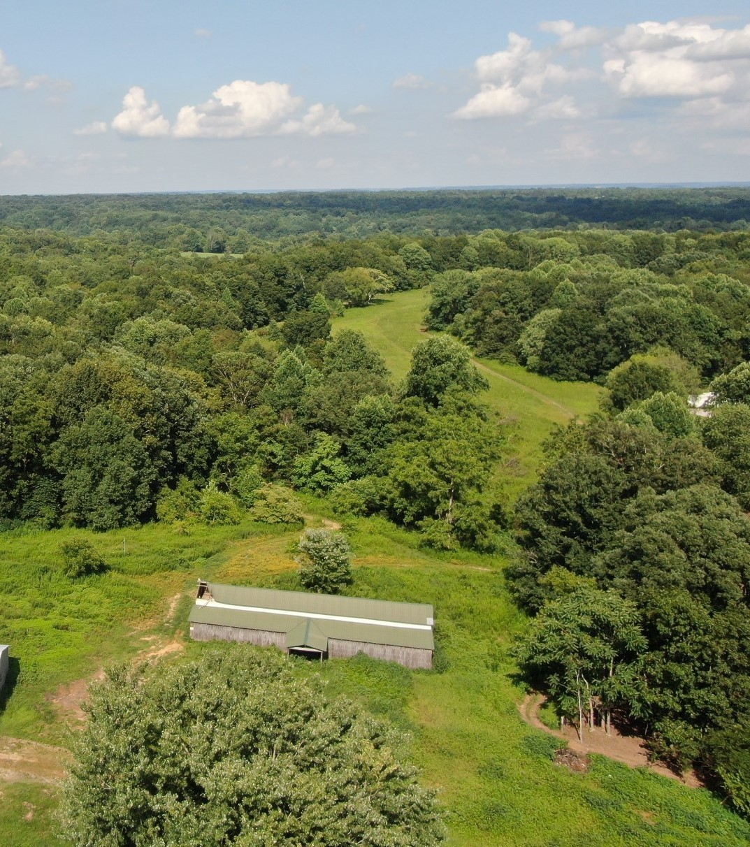a view of a big yard with large trees