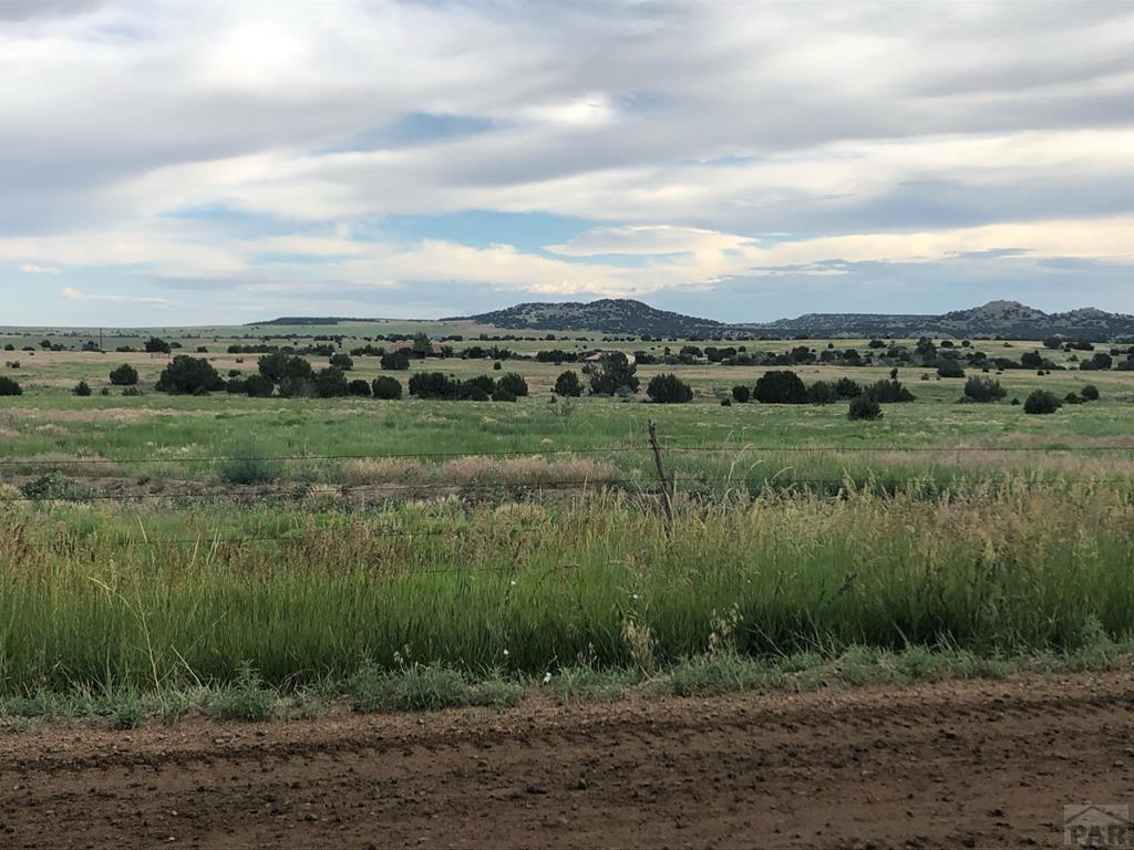 6905 South Burnt Mill Road Beulah, CO 81023 - Photo 33 of 38