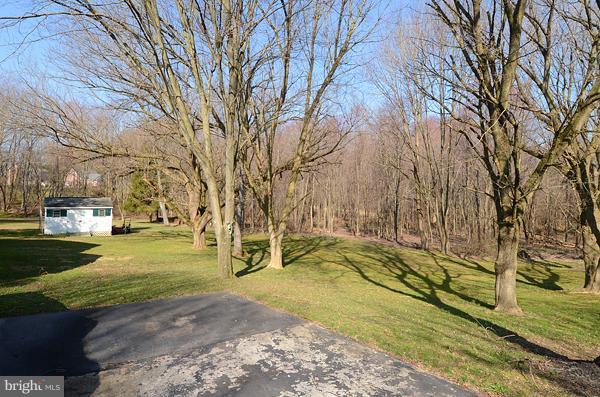 1202 Peachtree Road Fallston, MD 21047 - Photo 13 of 30 a view of yard with tree